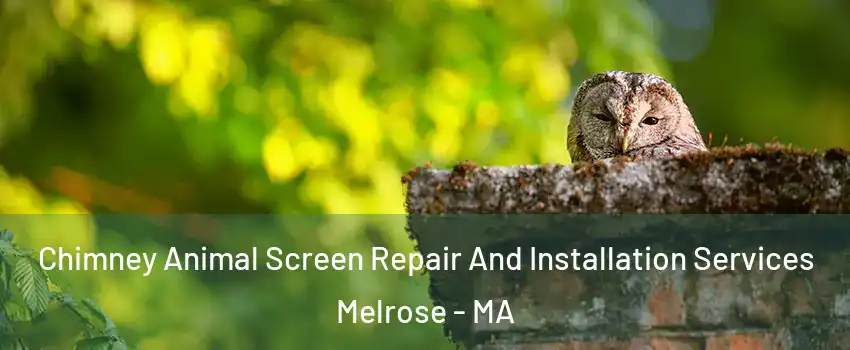  Chimney Animal Screen Repair And Installation Services Melrose - MA