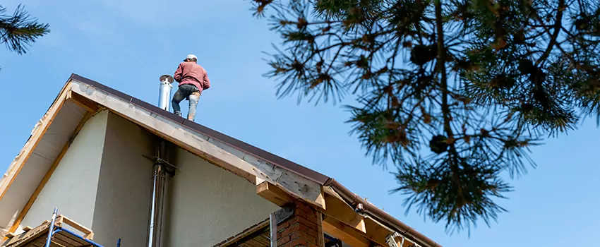 Birds Removal Contractors from Chimney in Melrose, MA